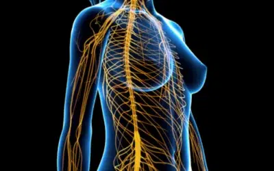 Impact of brain wave frequencies on key brain structures