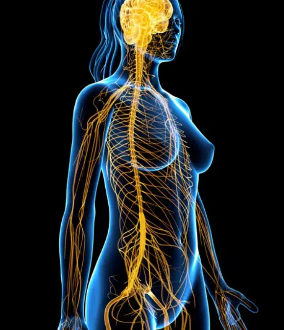 Impact of brain wave frequencies on key brain structures