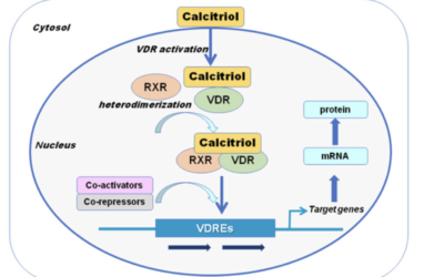 Vitamin d, calcium and spike protein – a trilogy of trouble?